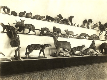 Década 1935 Arquitectura -3