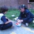 estudiantes basica primaria33