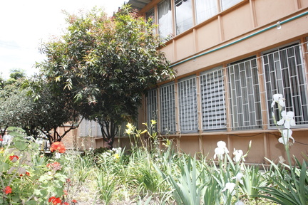 instalaciones ipn 19