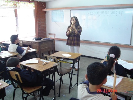 perfil 006